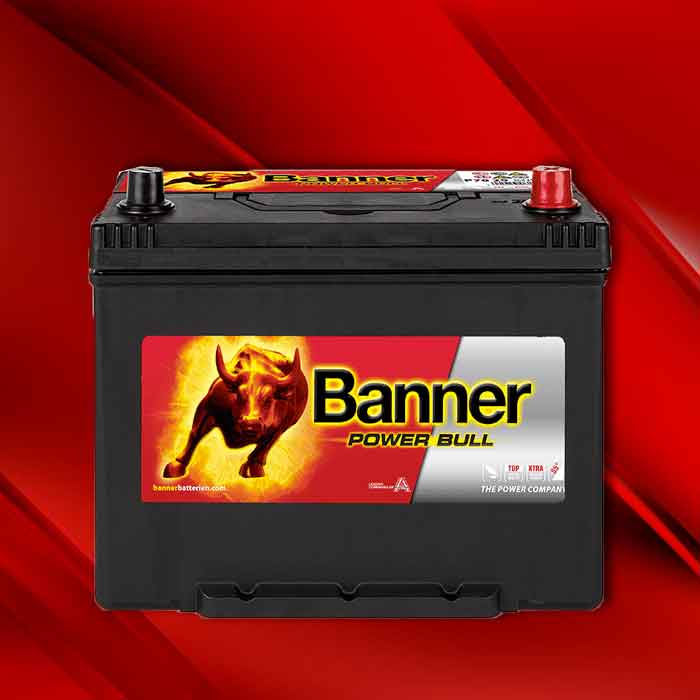 Best light truck deals battery